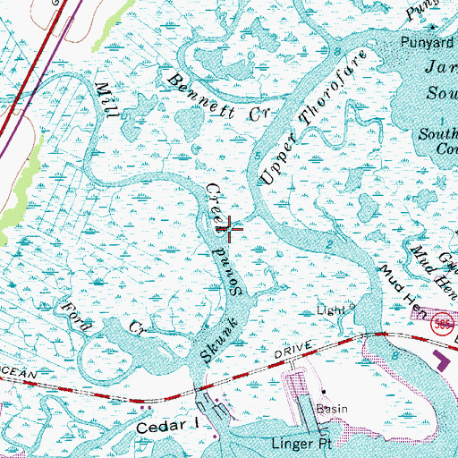 Topographic Map of Skunk Sound Ditch, NJ