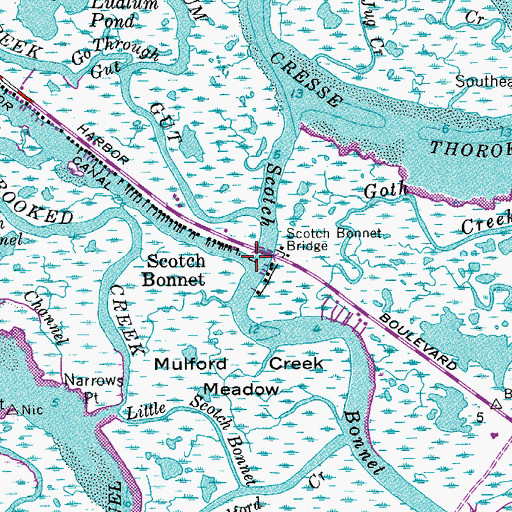 Topographic Map of Stone Harbor Canal, NJ