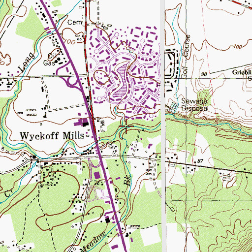 Topographic Map of Small Branch, NJ