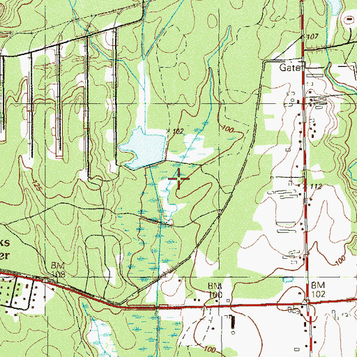 Topographic Map of Cedar Run, NJ