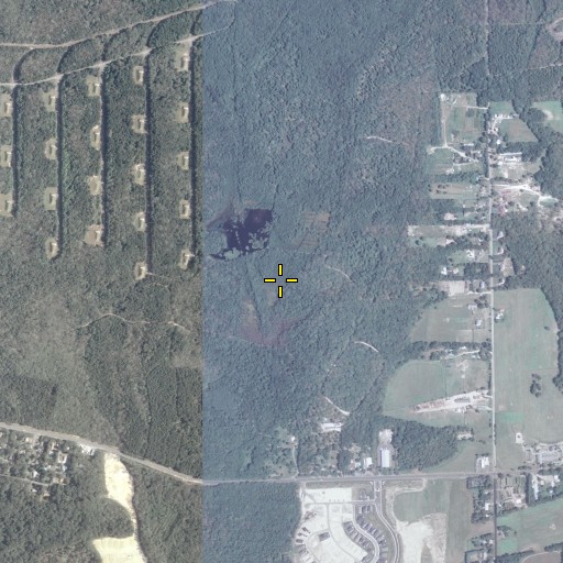 Aerial/Satellite Image of Cedar Run, NJ