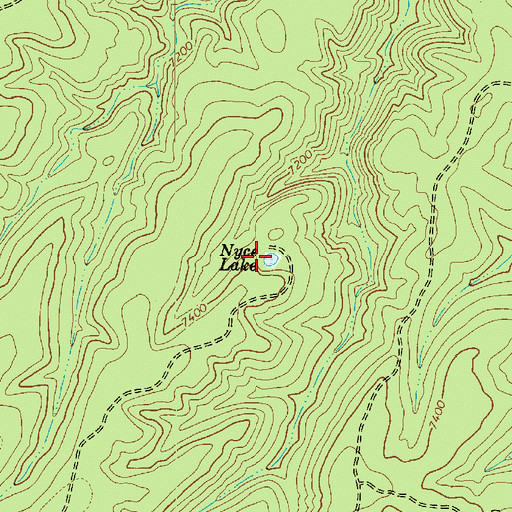 Topographic Map of Nyce Lake, AZ