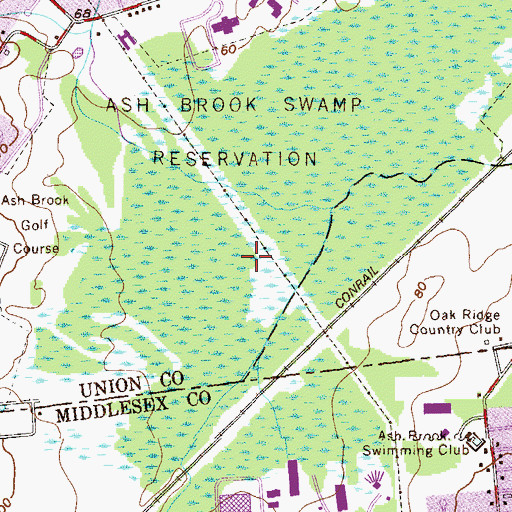 Topographic Map of Ash Brook Swamp, NJ
