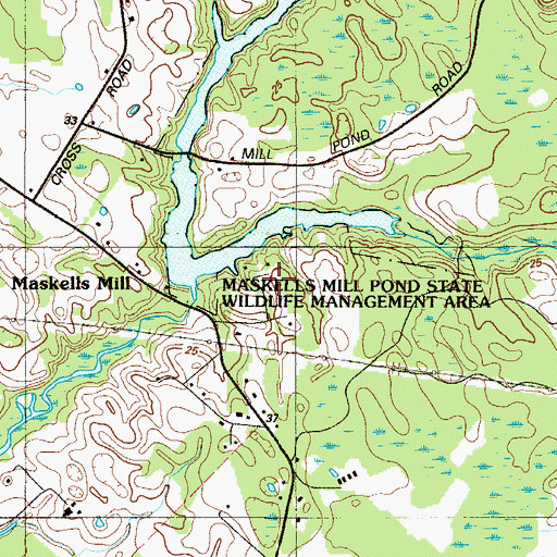 Topographic Map of Maskells Millpond, NJ