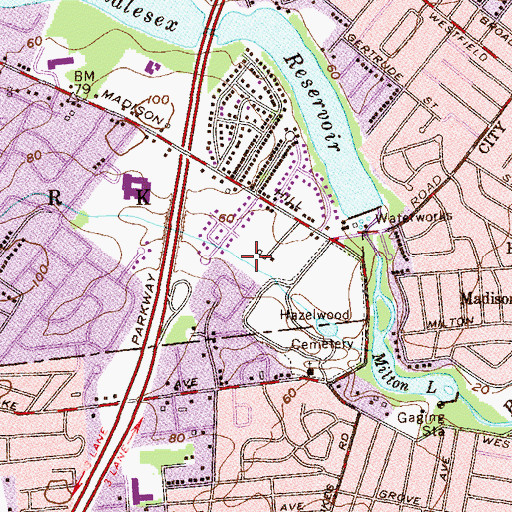 Topographic Map of Madison Hill, NJ