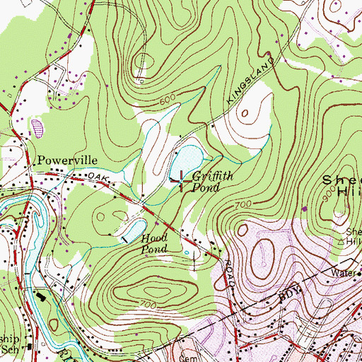 Topographic Map of Griffith Pond Dam, NJ