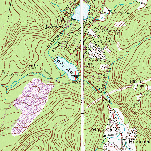 Topographic Map of Lake Ames Dam, NJ
