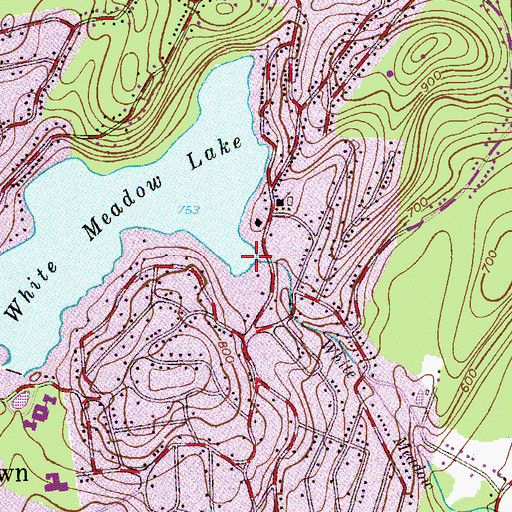 Topographic Map of White Meadow Lake Dam, NJ