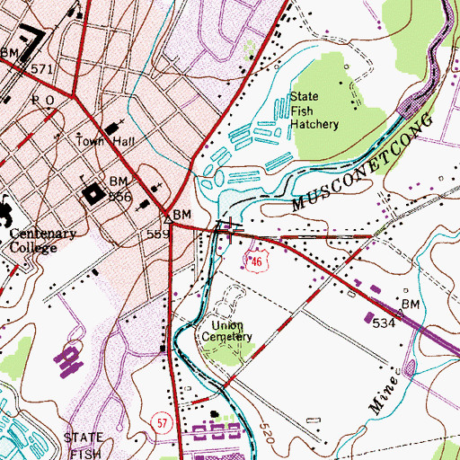 Topographic Map of Gruendyke Mill Dam, NJ