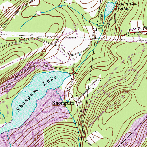 Topographic Map of Shongum Lake Dam, NJ