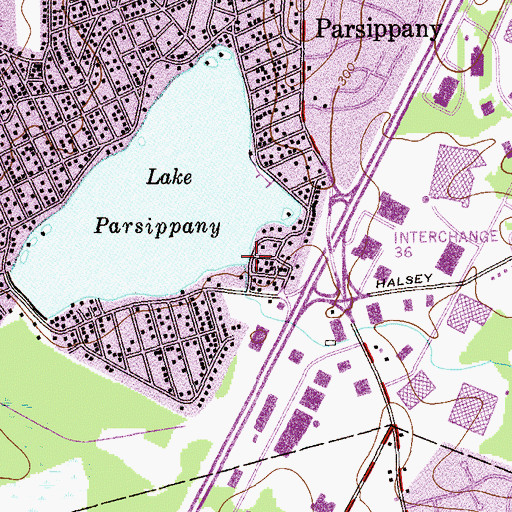 Topographic Map of Lake Parsippany Dam, NJ
