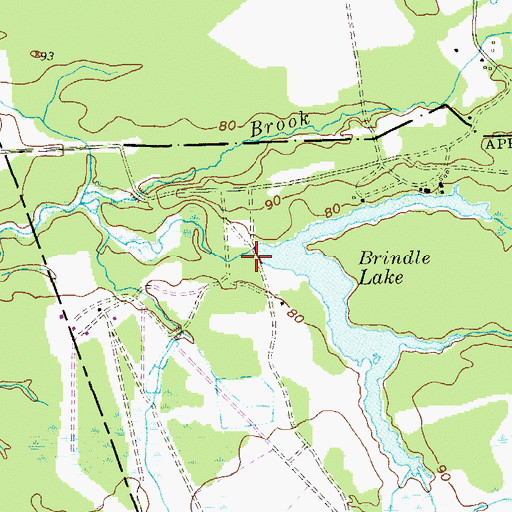 Topographic Map of Brindle Lake Dam, NJ