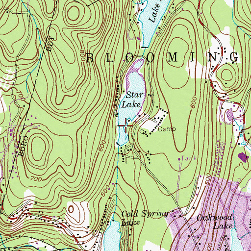Topographic Map of Star Lake Upper Dam, NJ