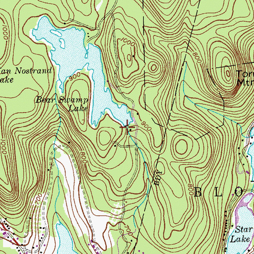 Topographic Map of Bear Swamp Lake Dam Two, NJ