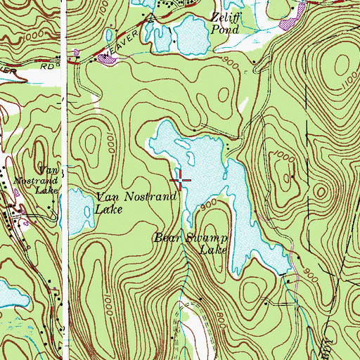 Topographic Map of Bear Swamp Lake Dam One, NJ