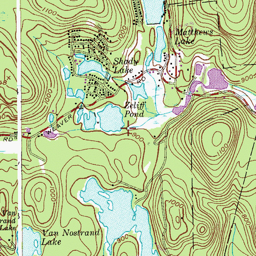 Topographic Map of Zeliff Pond Dam, NJ