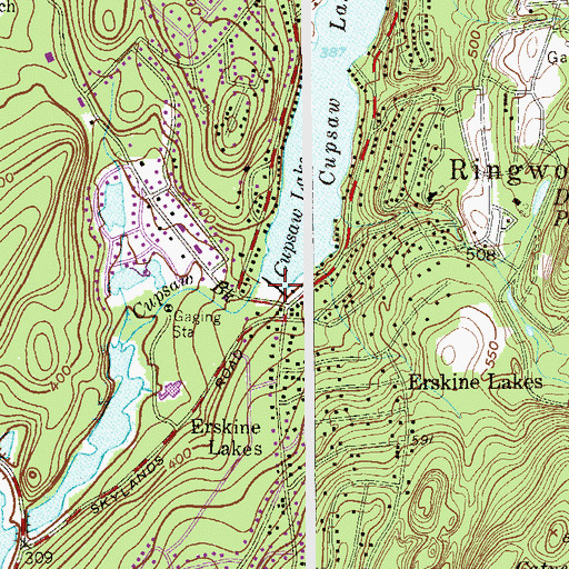 Topographic Map of Gupsaw Lake Dam, NJ