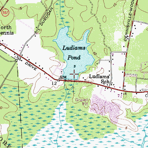 Topographic Map of Ludlams Pond Dam, NJ