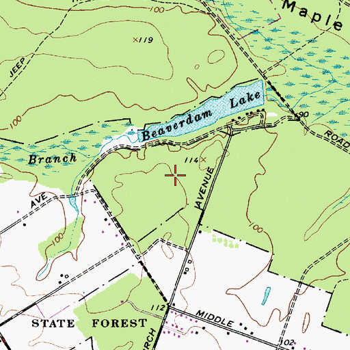 Topographic Map of WHSP-TV (Vineland), NJ
