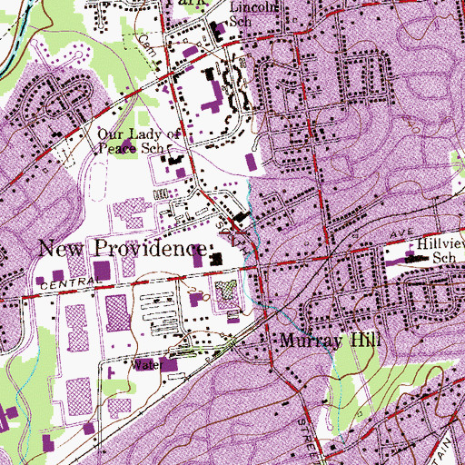 Topographic Map of Borough of New Providence, NJ