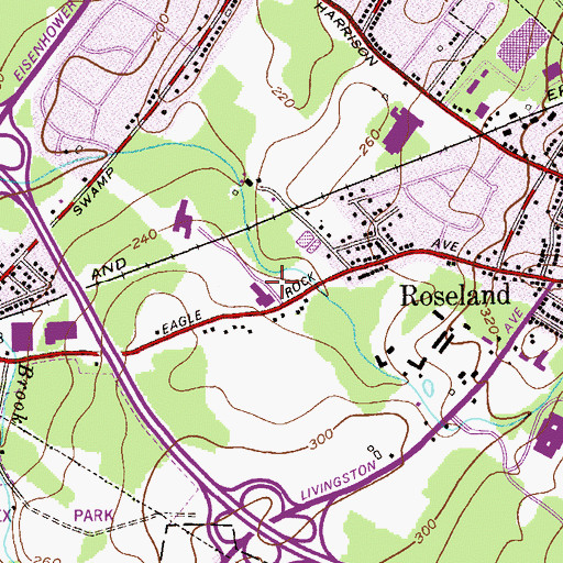 Topographic Map of Borough of Roseland, NJ
