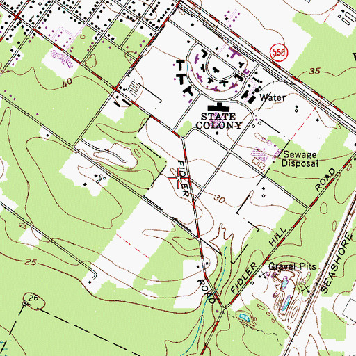 Topographic Map of Borough of Woodbine, NJ