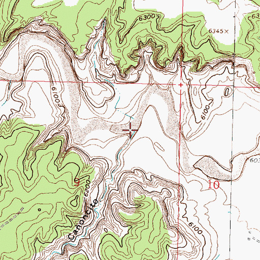Topographic Map of Caoncito, NM