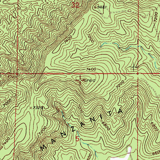 Topographic Map of Manzano Mountain, NM