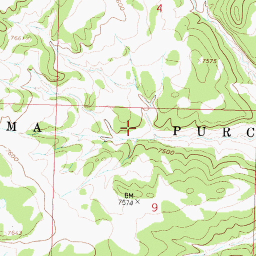 Topographic Map of Acoma Purchase, NM