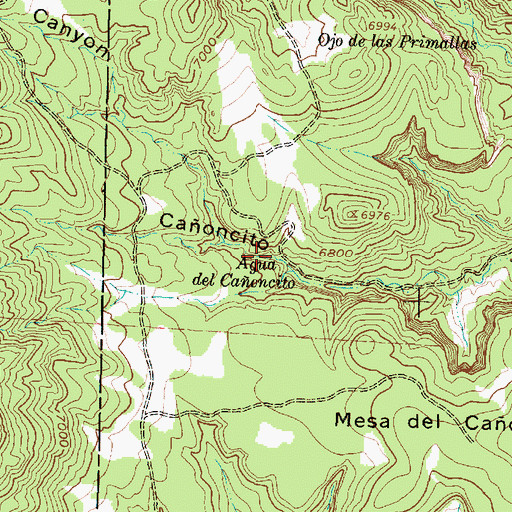 Topographic Map of Agua del Caoncito, NM