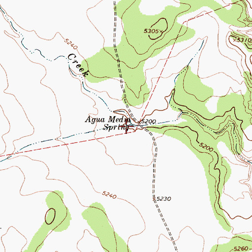 Topographic Map of Agua Medio Spring, NM