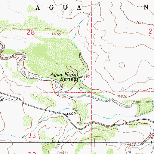 Topographic Map of Agua Negra Springs, NM