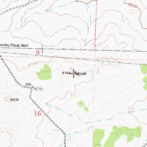 Topographic Map of Aguja, NM