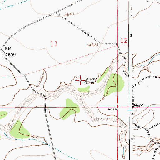 Topographic Map of Alamo Cemetery, NM