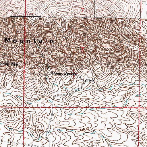 Topographic Map of Alamo Spring, NM