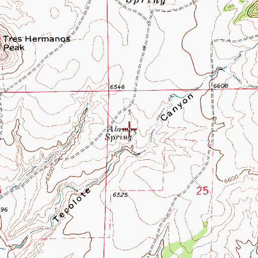 Topographic Map of Alamo Spring, NM