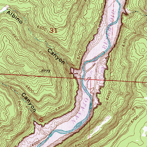 Topographic Map of Albino Canyon, NM