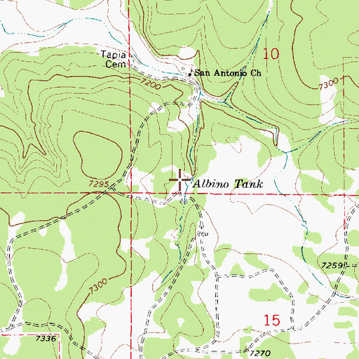 Topographic Map of Albino Tank, NM