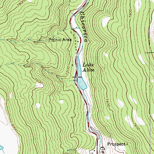 Topographic Map of Lake Alice, NM