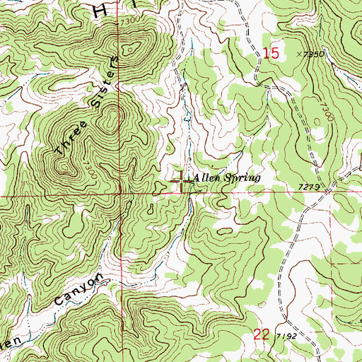 Topographic Map of Allen Spring, NM
