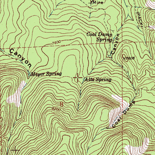 Topographic Map of Alto Spring, NM