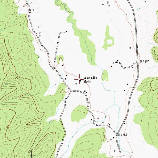 Topographic Map of Amalia School, NM