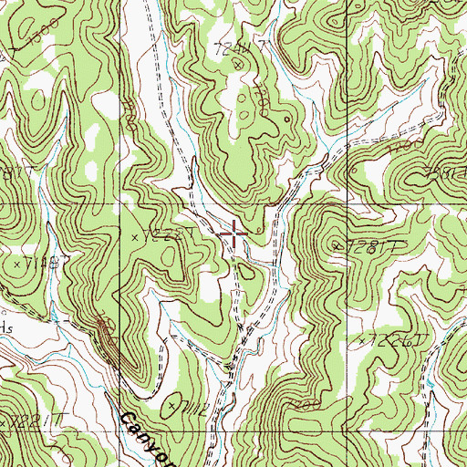 Topographic Map of Ancho Canyon, NM