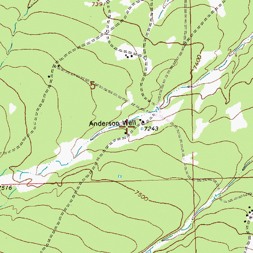 Topographic Map of Anderson Well, NM