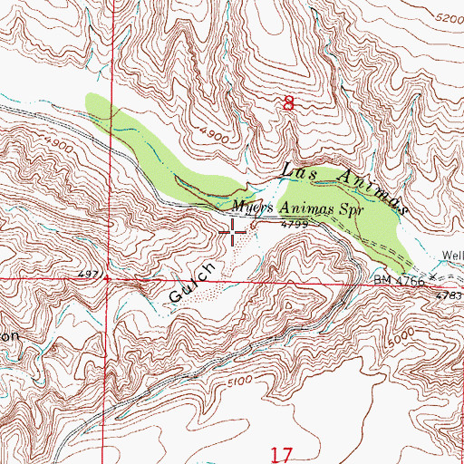 Topographic Map of Animas Gulch, NM