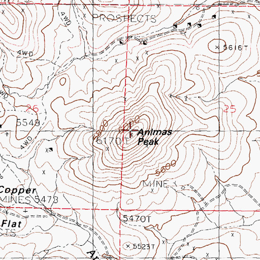 Topographic Map of Animas Peak, NM