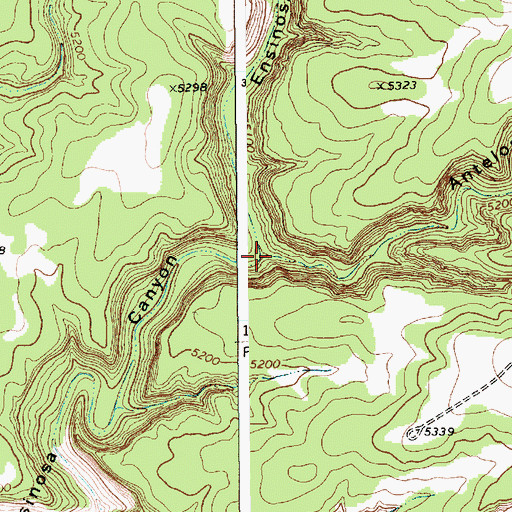 Topographic Map of Antelope Canyon, NM
