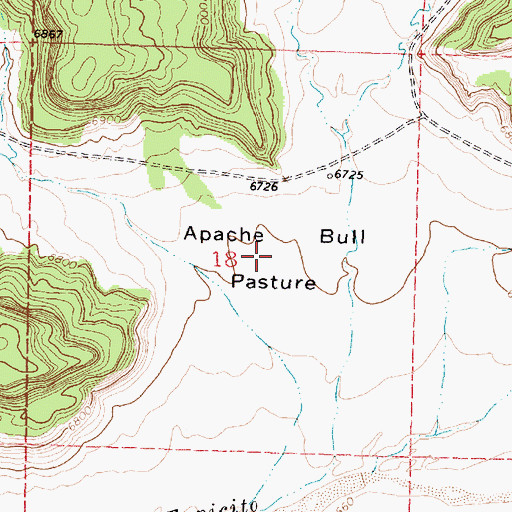 Topographic Map of Apache Bull Pasture, NM
