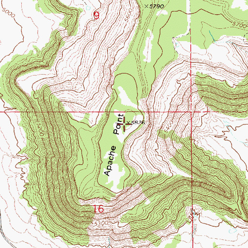 Topographic Map of Apache Point, NM