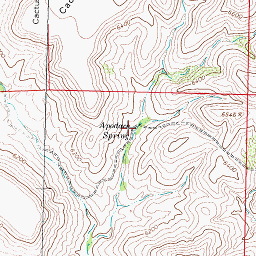 Topographic Map of Apodaca Spring, NM